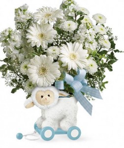 Sweet Little Lamb in Blue in Wickliffe, OH | WICKLIFFE FLOWER BARN Sweet Little Lamb in Blue in Wickliffe, OH | WICKLIFFE FLOWER BARN
