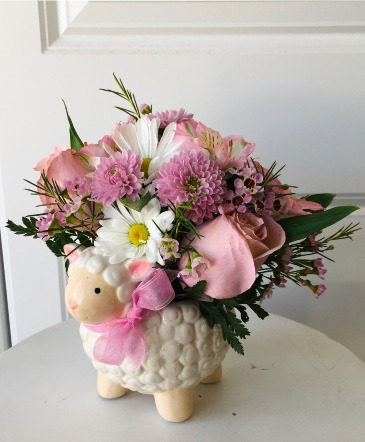Sweet Little Lamb  in Whittier, CA | Rosemantico Flowers