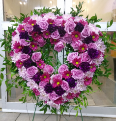 Category Image