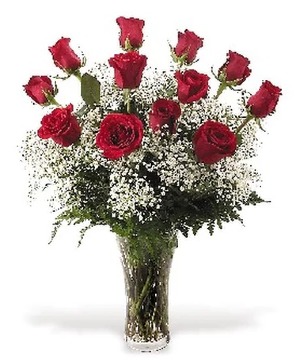 Sweet Love (Dozen Premium Roses) Arrangement