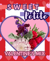 Sweet Petite Valentine's Mix Fresh Vase Arrangement