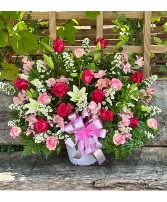 Sweet pink  sympathy 