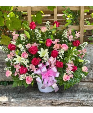 Sweet pink  sympathy 