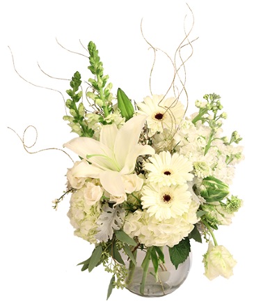 Sweet Radiance Vase Arrangement in Warren, PA | VIRG-ANN FLOWER SHOP LLC.