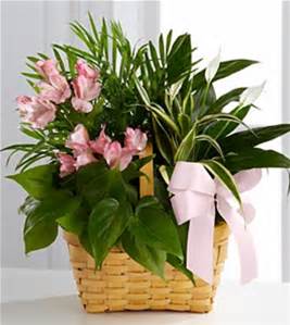 Sweet Remembrance Planter