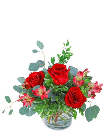 Sweet Rouge Flower Arrangement in Lewiston, ME | BLAIS FLOWERS & GARDEN CENTER