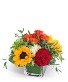 Sweet Savannah Flower Arrangement