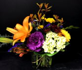 Autumn Collection--Contemporary Medium 