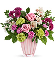 Category Image