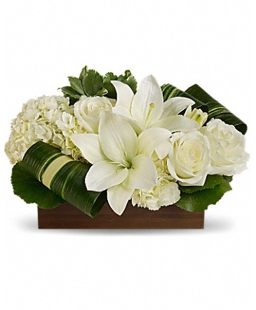 Sweet Serenity Modern White Floral Arrangement in Edmonton, AB | PETALS ON THE TRAIL