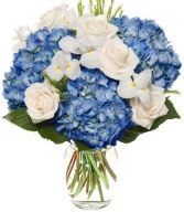 SWEET SIMPLICITY ARRANGEMENT