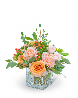 Sweet Sorbet Flower Arrangement