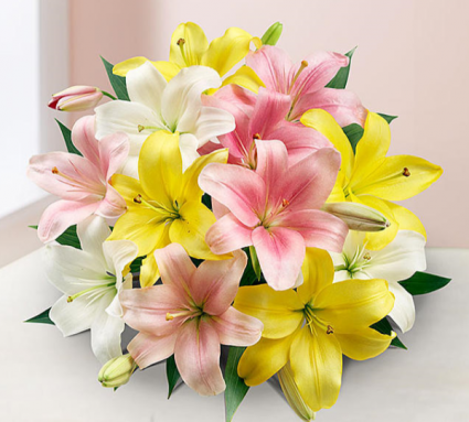 Sweet Spring Lilies Hand tied bouquet