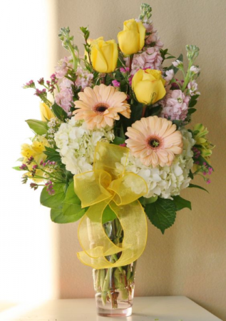 Sweet Spring Spring
