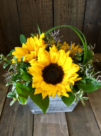 Sweet Sunflowers Fresh Floral Design in Covington, WA | The Royal Bee Florist Sweet Sunflowers Fresh Floral Design in Covington, WA | The Royal Bee Florist