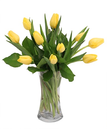 Sweet Sunshine Tulips Vase Arrangement in Gimli, MB | DIAMOND BEACH/GIMLI FLORIST