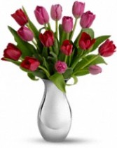 Sweet Surender