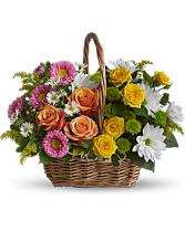 Sweet Tranquility Basket assorted flowers