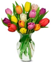 Sweet tulips 