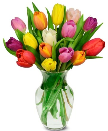 Sweet tulips  in Elyria, OH | PUFFER'S FLORAL SHOPPE, INC.