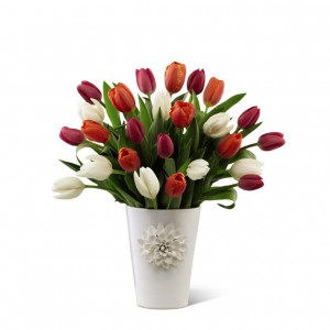 Sweet Tulips 