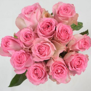 Sweet Unique Roses