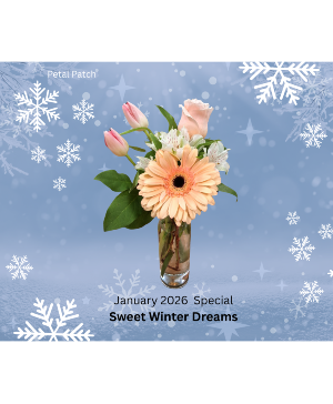 Sweet Winter Dreams January Special Design