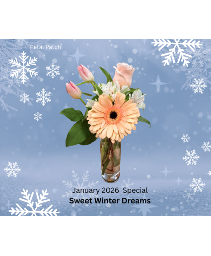 Sweet Winter Dreams January Special Design