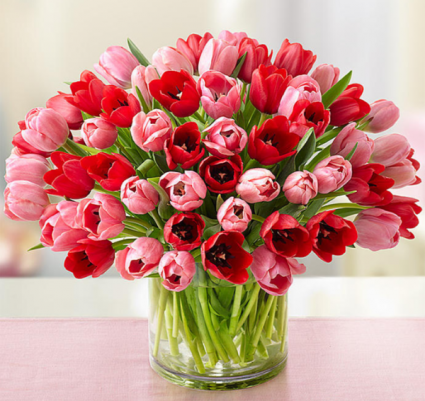 Sweetest Love Tulips 