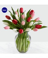 Sweetest Love Tulips  