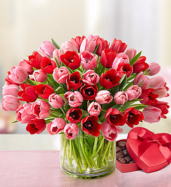Sweetest Love Tulips with Chocolate