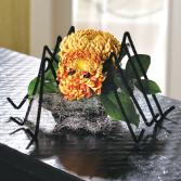 Sweetest Spider Arrangement Table, low profile