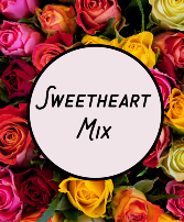 Sweetheart Mix  in Santa Rosa Beach, Florida | 1920 & Co at Clay Garden