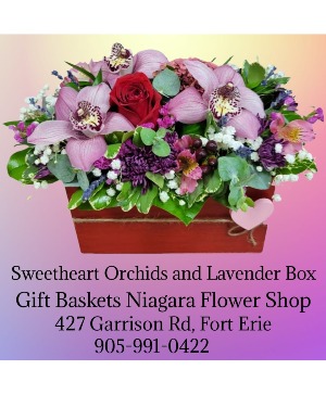 Sweetheart Orchids and Lavender Box Fresh Arrangement