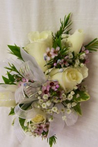 Category Image