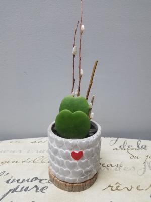 Sweethearts Succulents