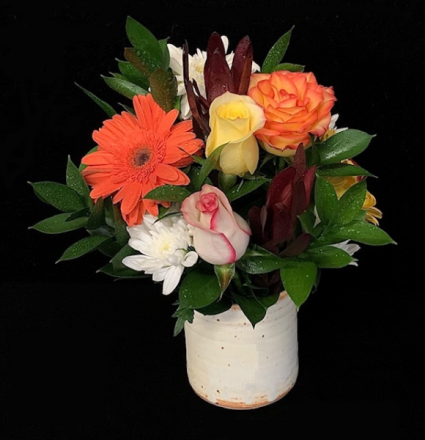 Sweetie Pie Mixed Floral Colors