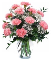 Sweetly Pink Carnations Assorted Colors