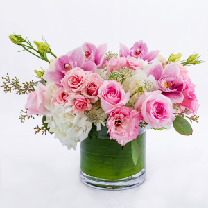 Sweetness Luxury in Lauderhill, FL | BLOSSOM STREET FLORIST Sweetness Luxury in Lauderhill, FL | BLOSSOM STREET FLORIST