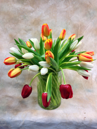 Swirled Tulips