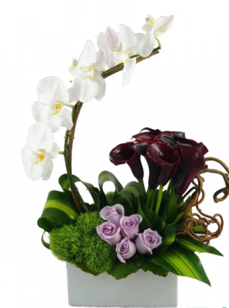 SWIRLIN GARDEN Every day occasion