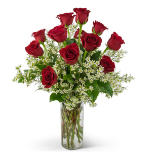 Swoon Over Me Dozen Red Roses Arrangement