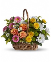 Swwet Tranquility Basket Arrangement