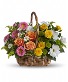 Swwet Tranquility Basket Arrangement