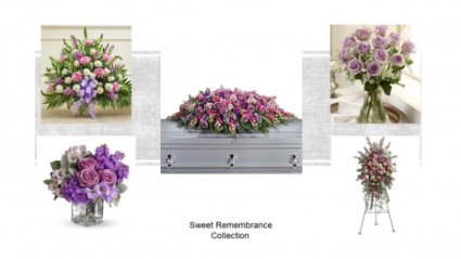 Sympathy Collections 