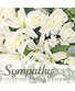 Sympathy Custom Arrangement  Designer's Choice