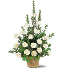 Simply White Carnations Sympathy Arrangement