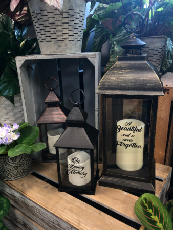 Sympathy Lanterns