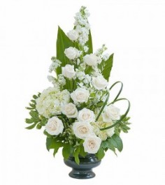 Category Image