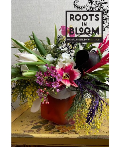 Sympathy Signature Roots Arrangement Designers Choice